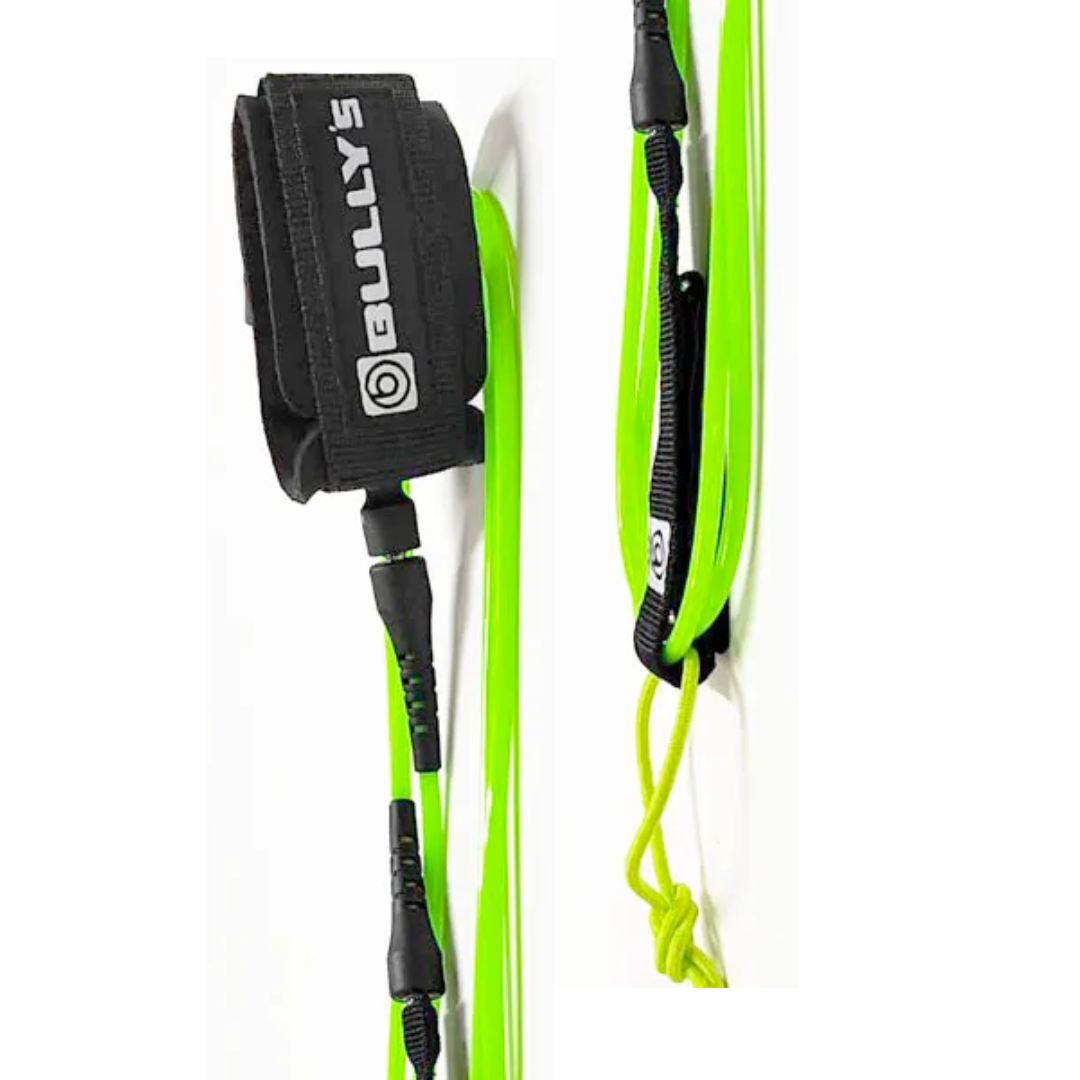 Leash Comp 6 Golden Series Bullys