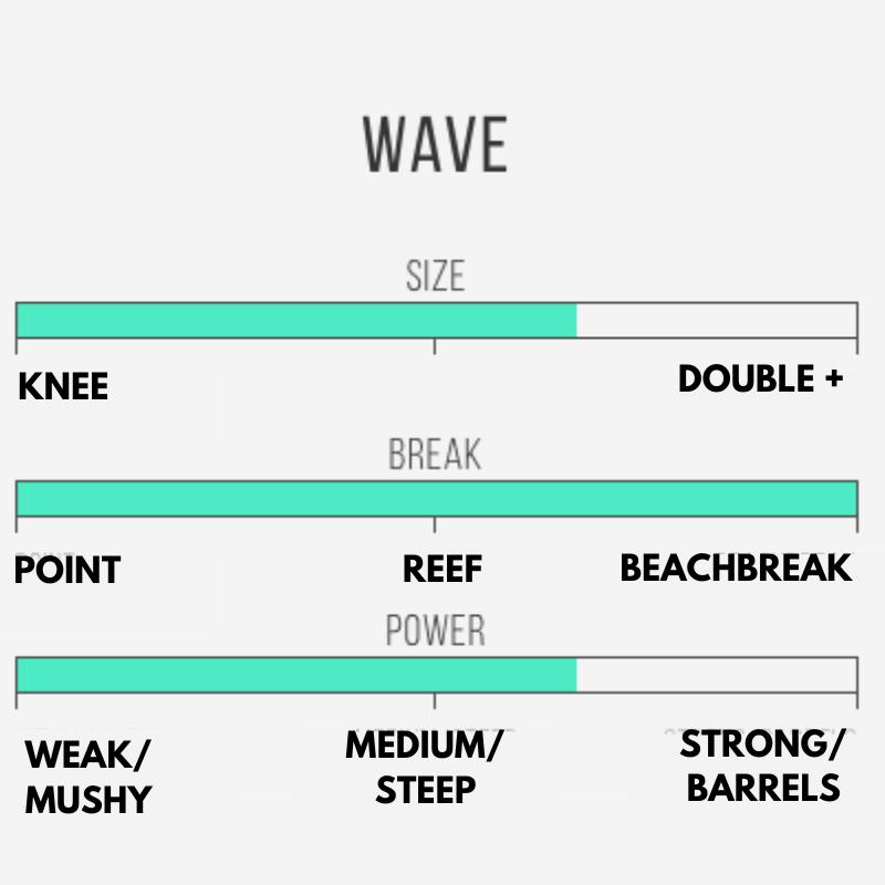 Prancha Al Merrick Rocket Wide Spine Tek - Squash
