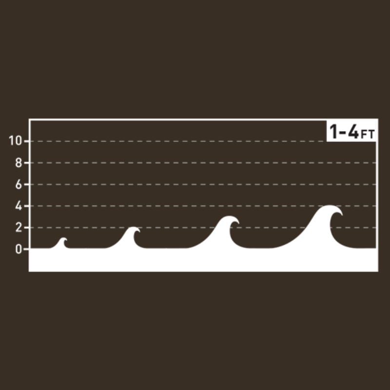 Prancha Firewire Go Fish